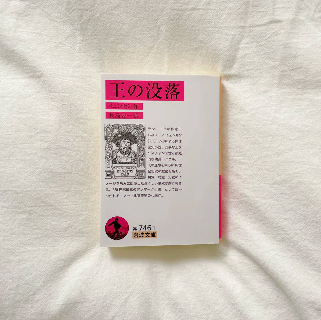 11 読書で世界一周 ｜どうしようもない男たちによる北欧史