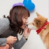 ジュマペール・ジェームス〜幸せを届けて歩いた犬〜　https://www.facebook.com/james.chuchuchu