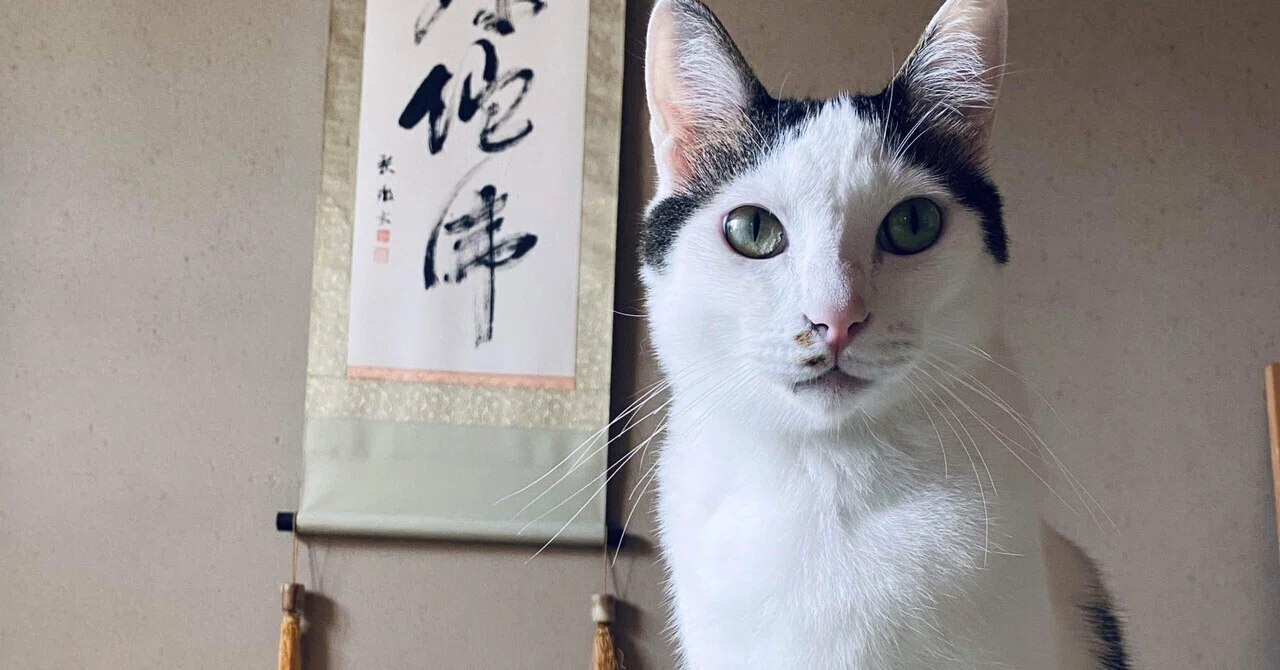 26 猫好きな日本語教師には猫が好きな生徒が集まってくる。｜hiro