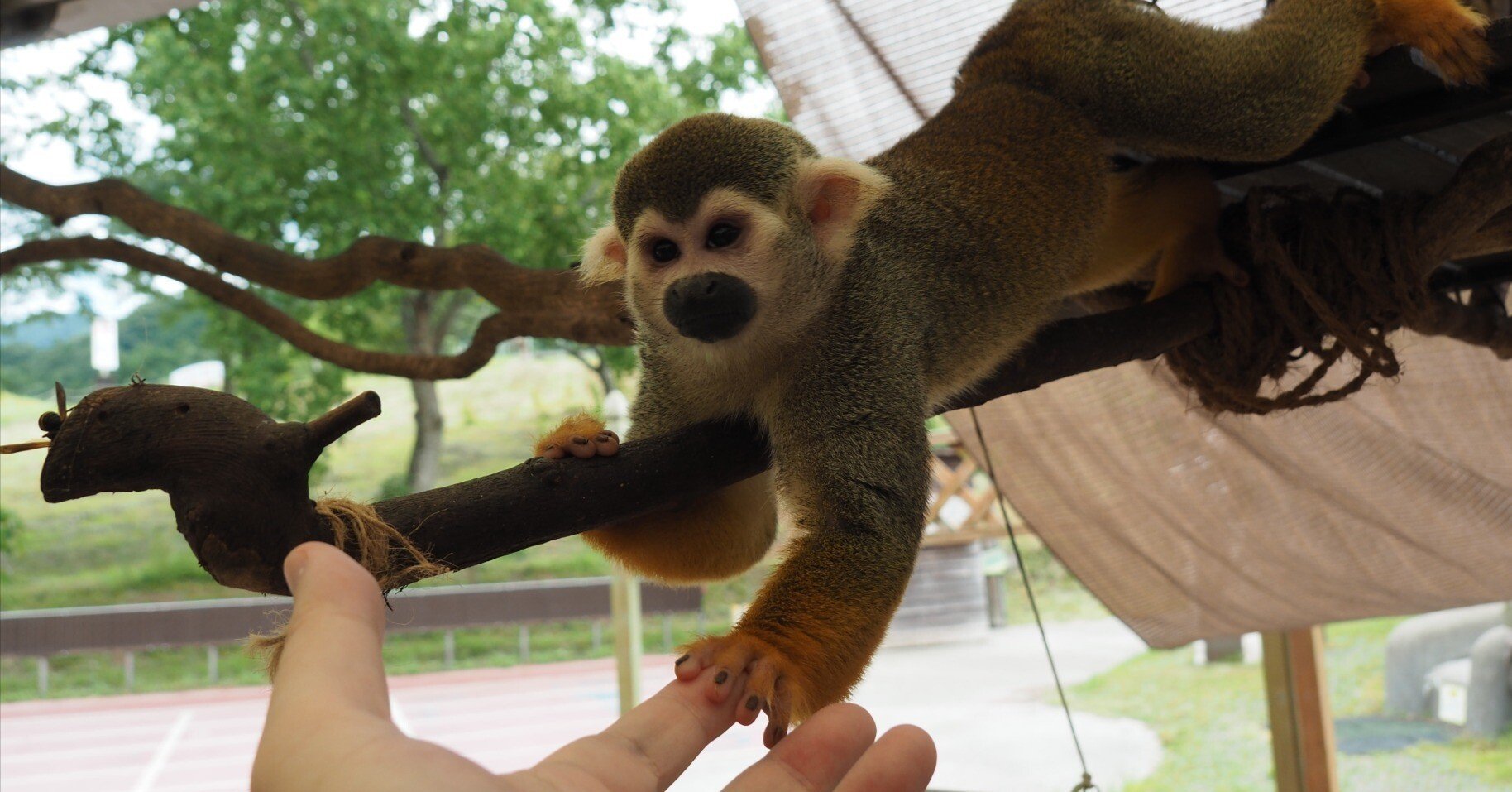 6e296a968def9049abd003c76af91e