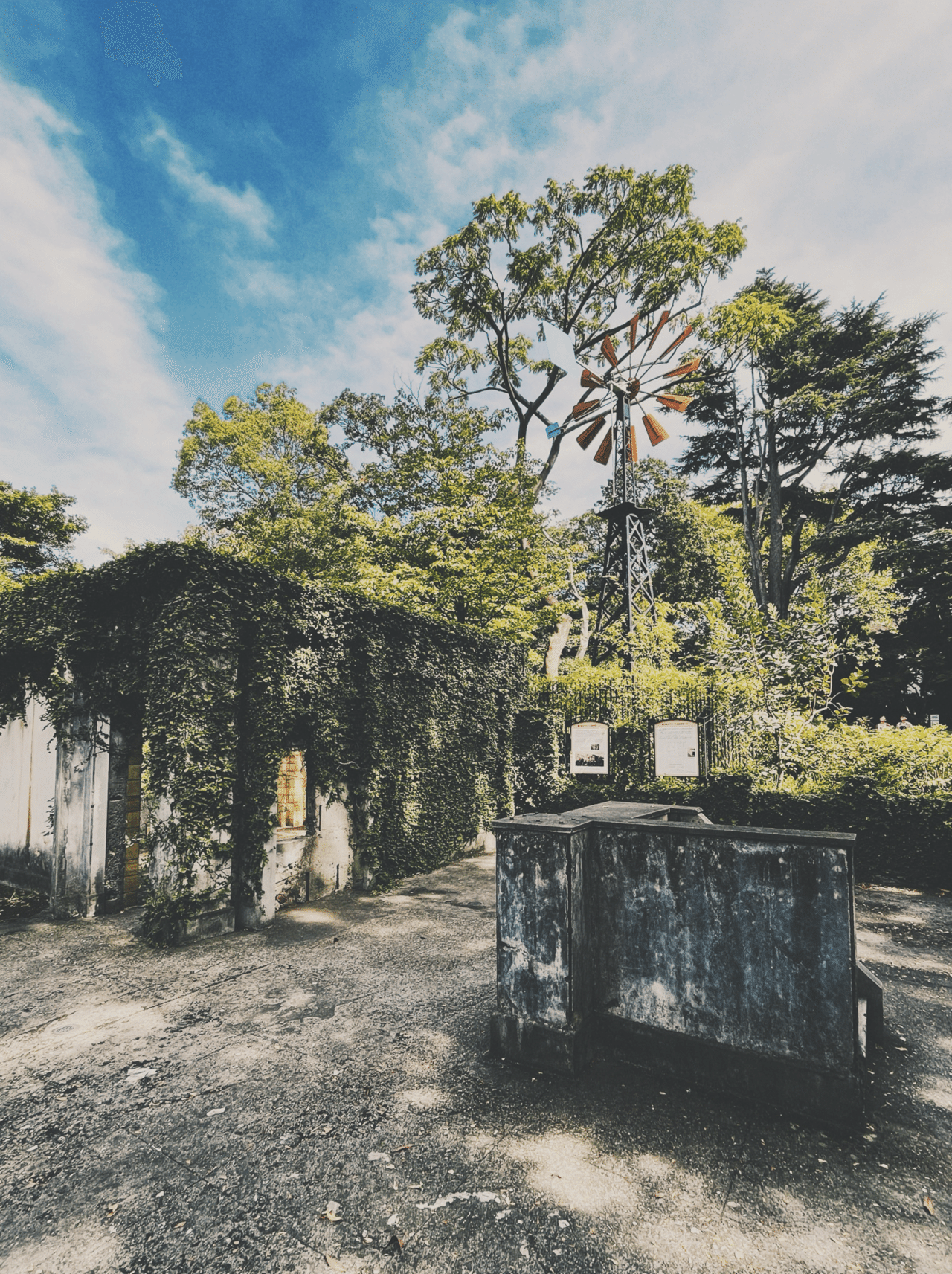 【写真】旧フランス領事館公邸遺構にて（横浜）｜風来坊