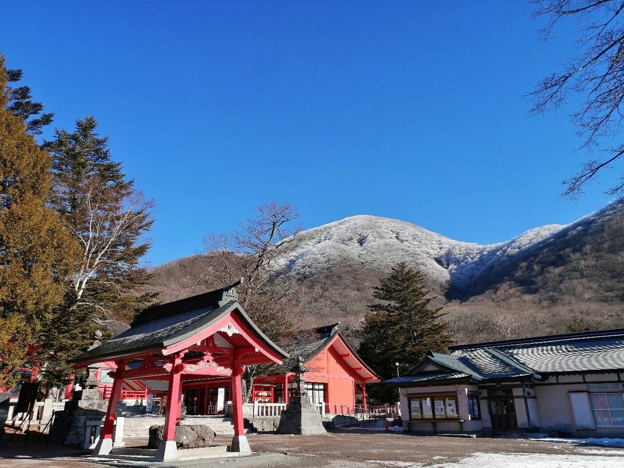 24-01-13_初詣は赤城神社で