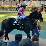 巧みの競馬研究所