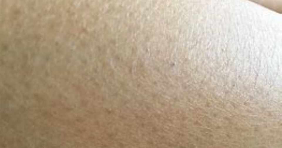 陰毛処理のアンケート調査をしました きたかみさん Note