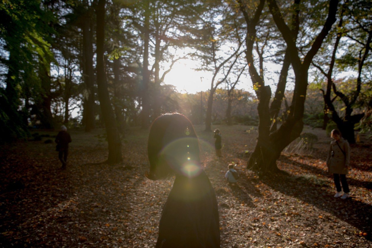 カメラ初心者でもわかるフレア ゴーストとは Kou Note カメラ初心者でもわかるフレア ゴーストとは Kou Note