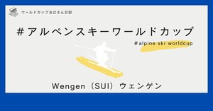FISワールドカップスキー　World Cup ski ビブ　選手サイン入り FISワールドカップスキー World Cup ski ビブ 選手サイン入り