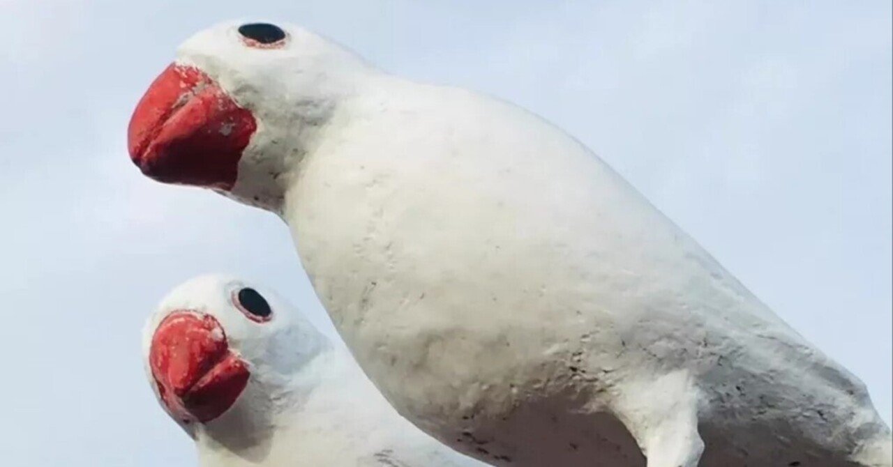 やとみ文鳥マルシェにかける想い｜文鳥大学弥富研究所