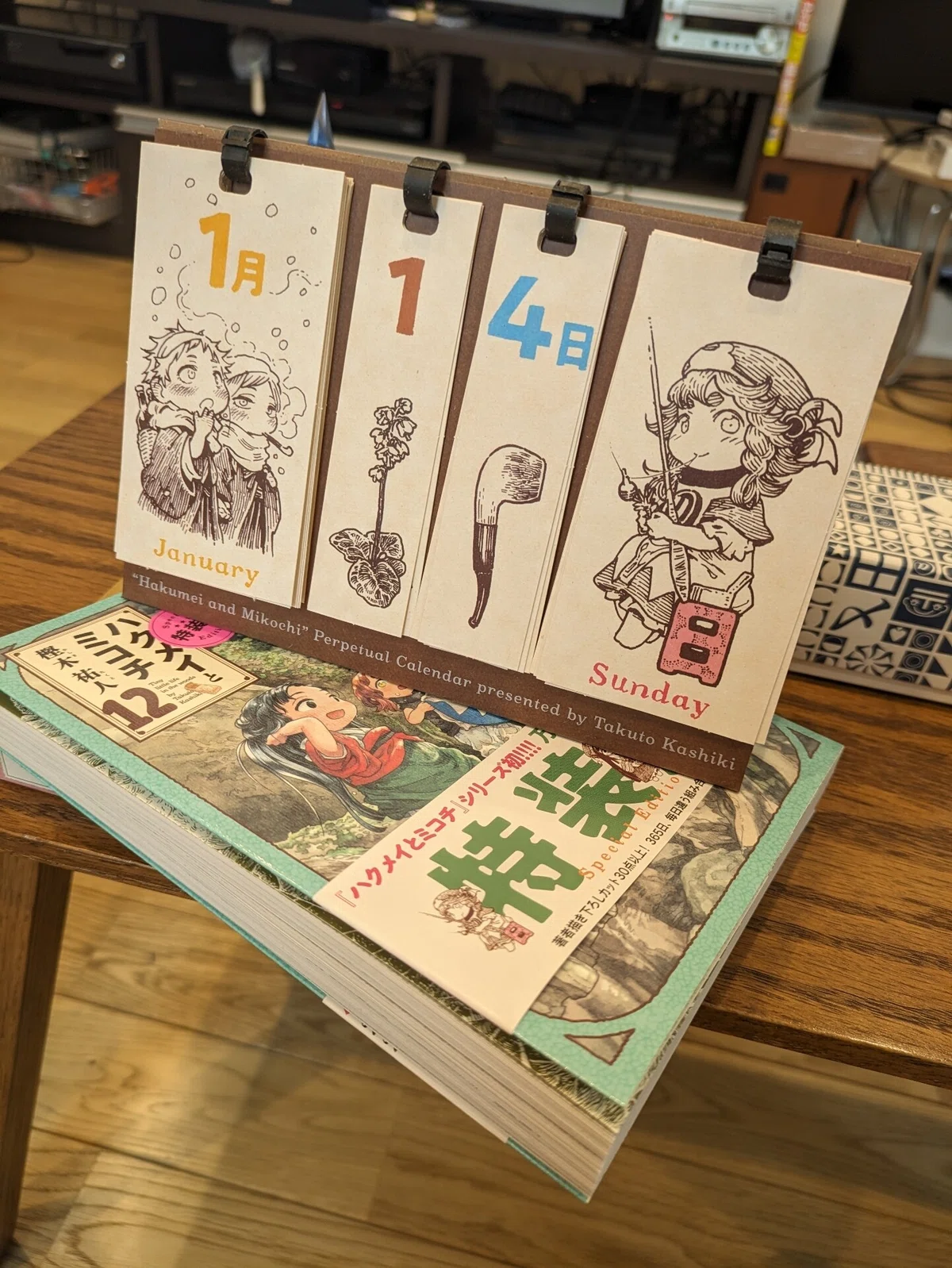 活動歴および当時の関連ビジュアル記録