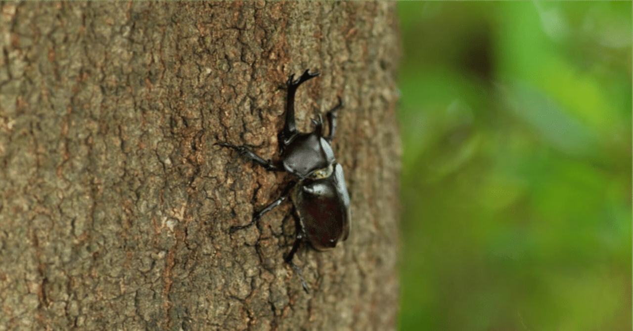 メダロット2カブトバージョンのウザいメダロットベスト5｜もょもと