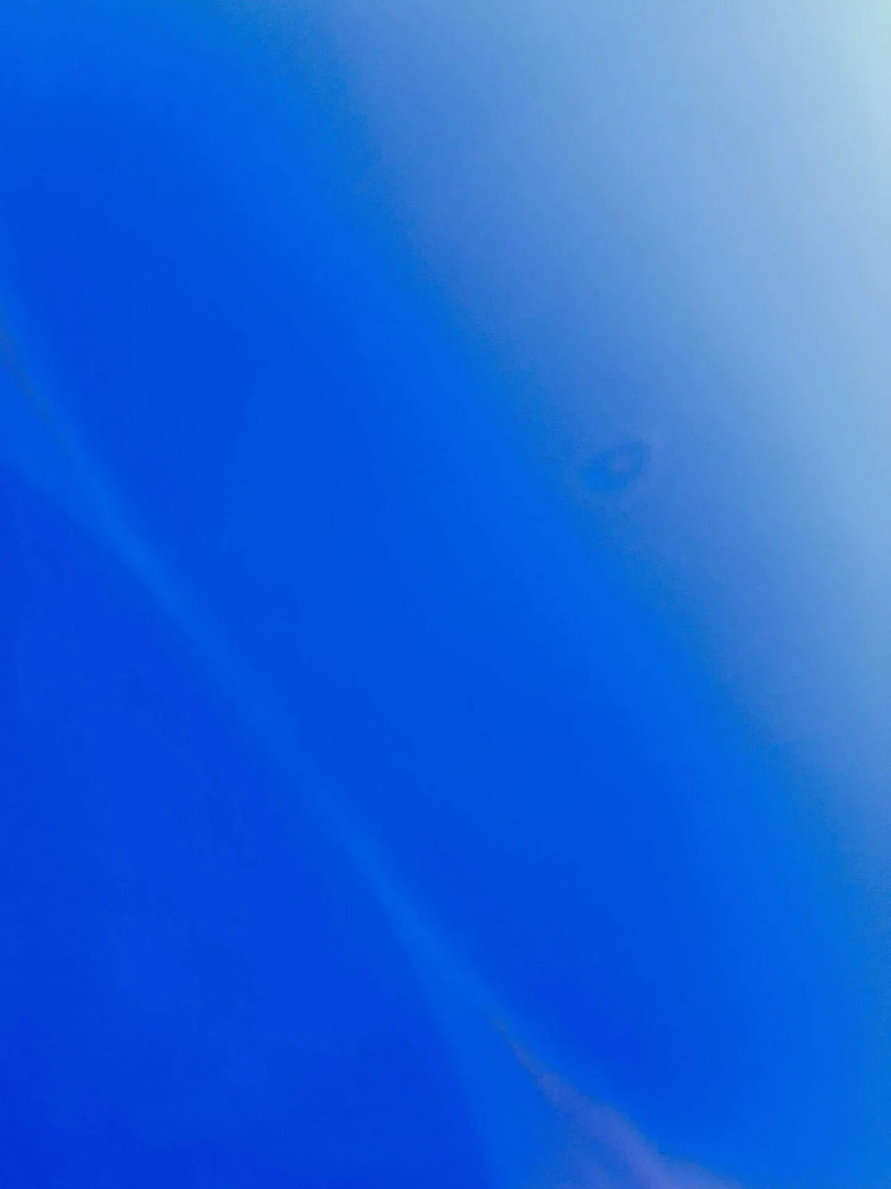 真っ青な空! 雲ひとつないし、これだけ晴れてたら寒いよね〜笑 北風が強くて外に居るのは大変。 でも、この青い空が見られるから冬は好き。|むーさん