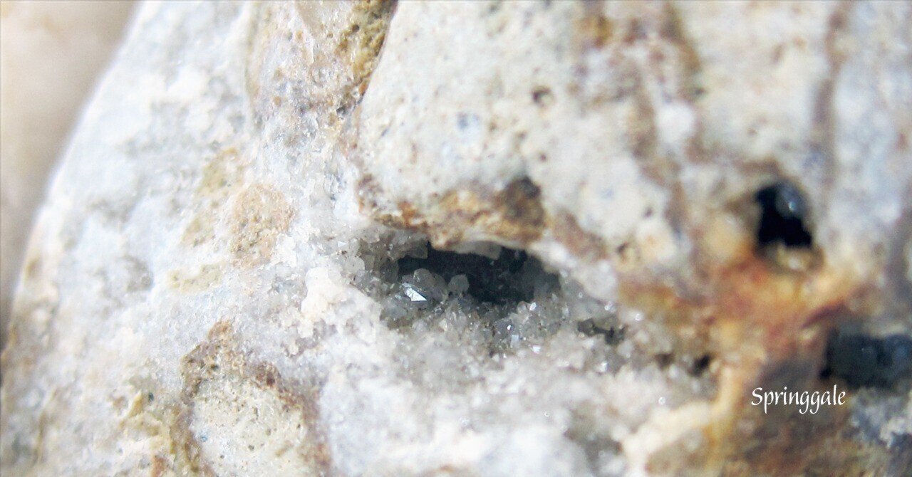 石拾いの沼に落ちてみた｜はるかぜるりい