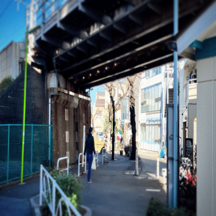 緑が丘から自由が丘を経由して浄真寺まで九品仏川緑道で2.5km散歩 40分