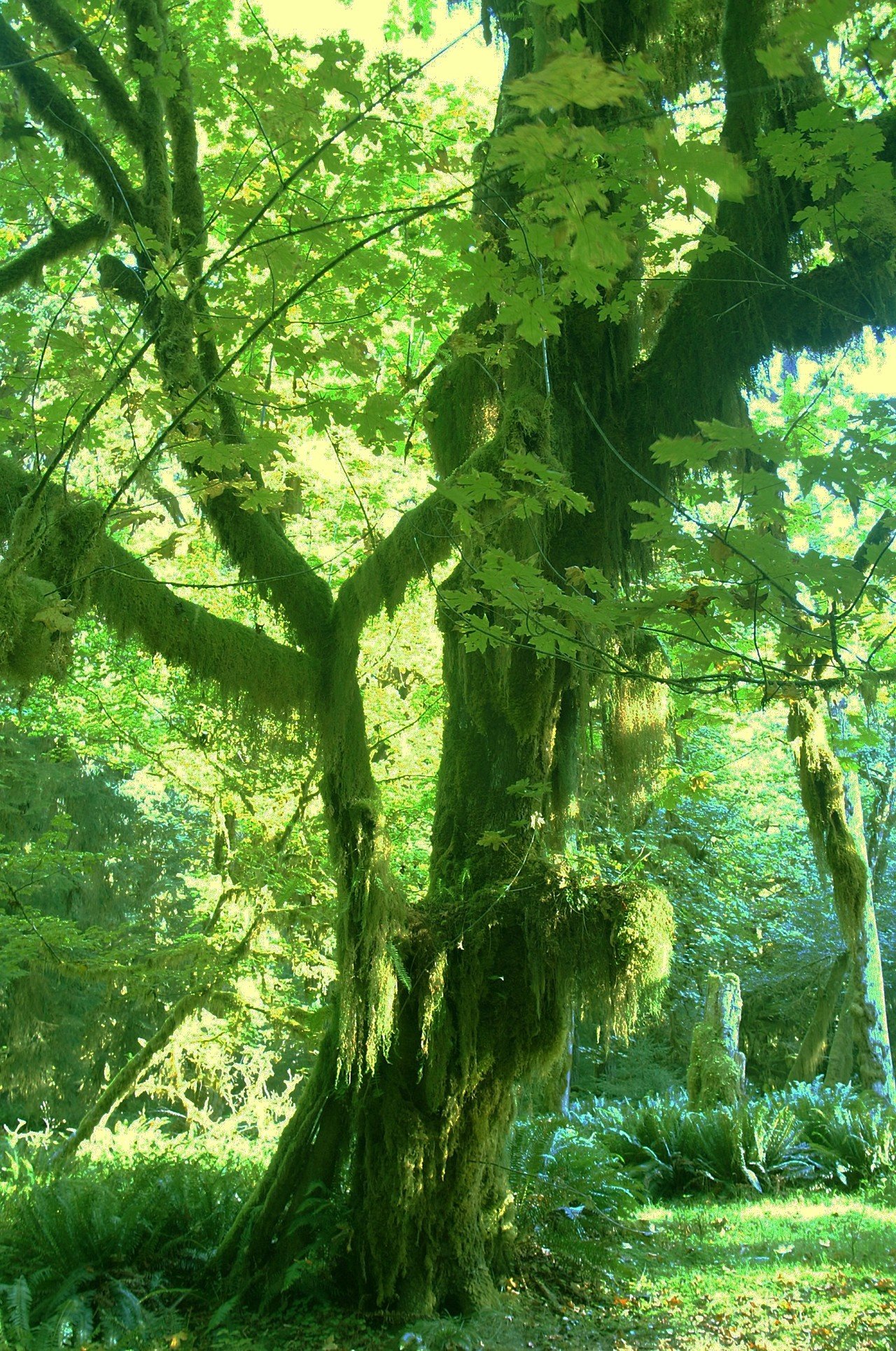 アメリカで出会った100の光景 No.30（大自然の絶景）まるで絵本の中