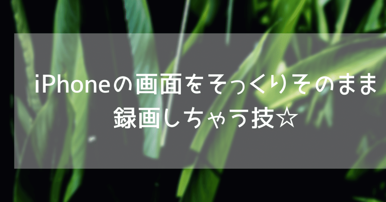 見出し画像