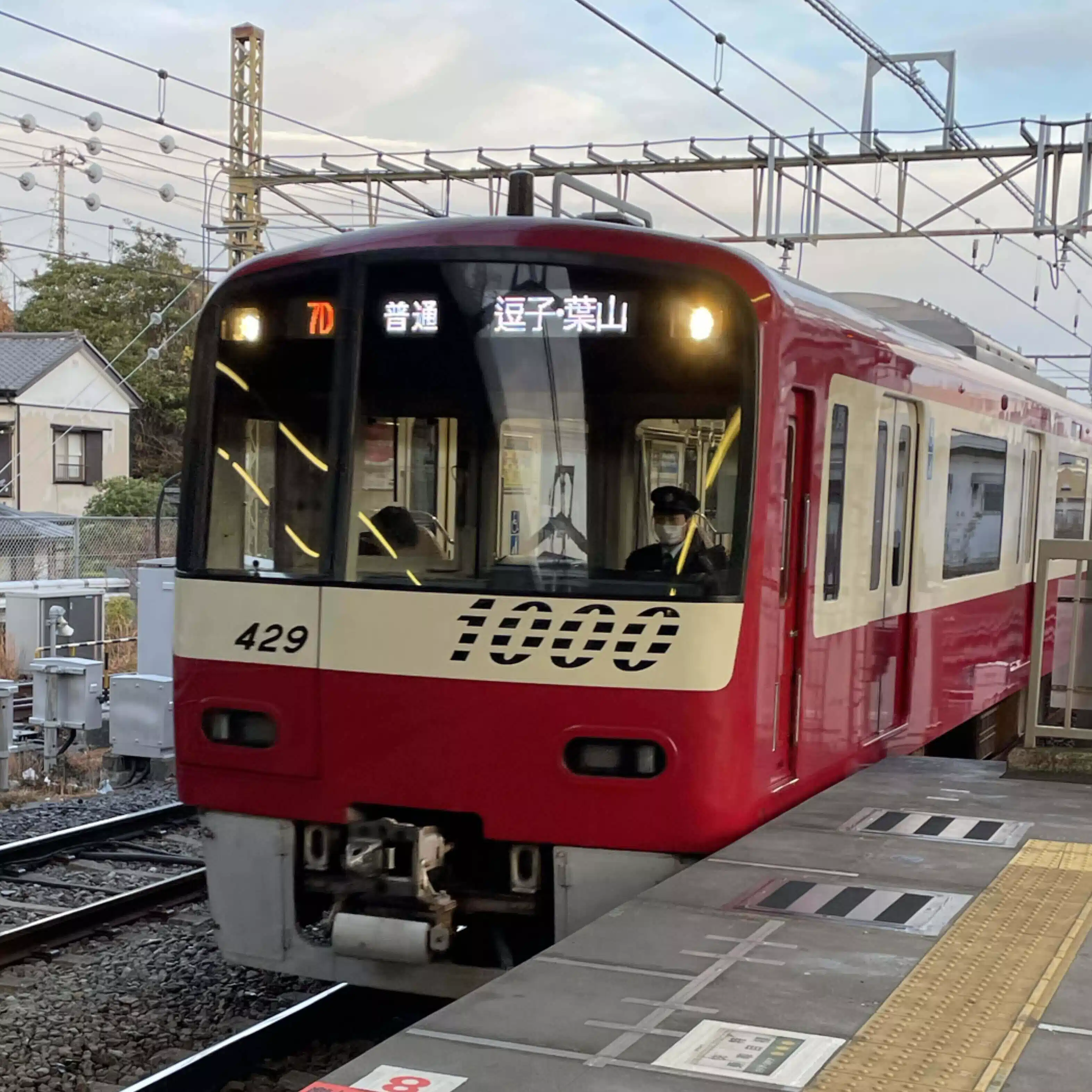 かぐや🌙