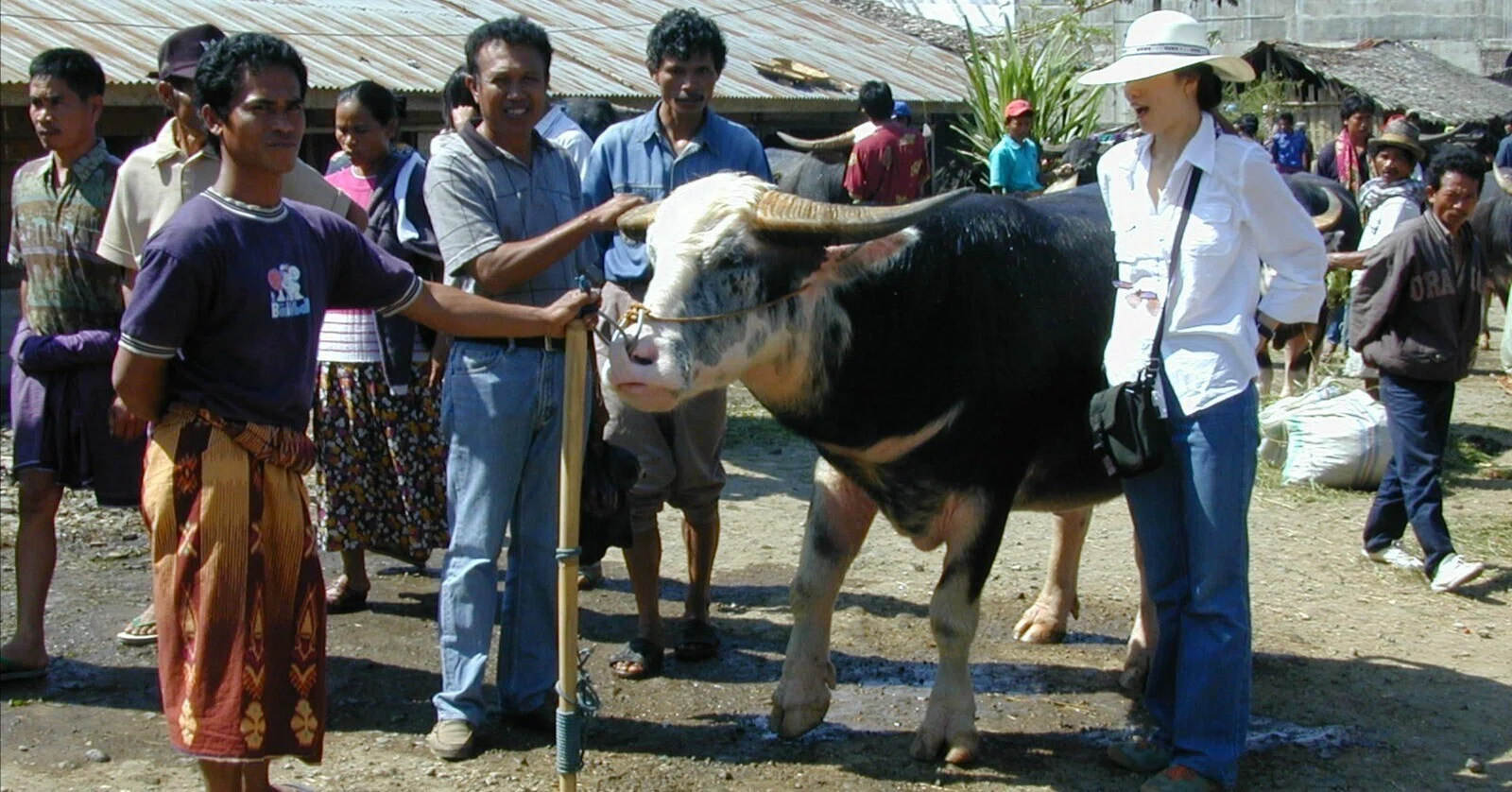 【中古】 インドネシアの旅 写真で見る、23年前のインドネシア旅行記｜山林