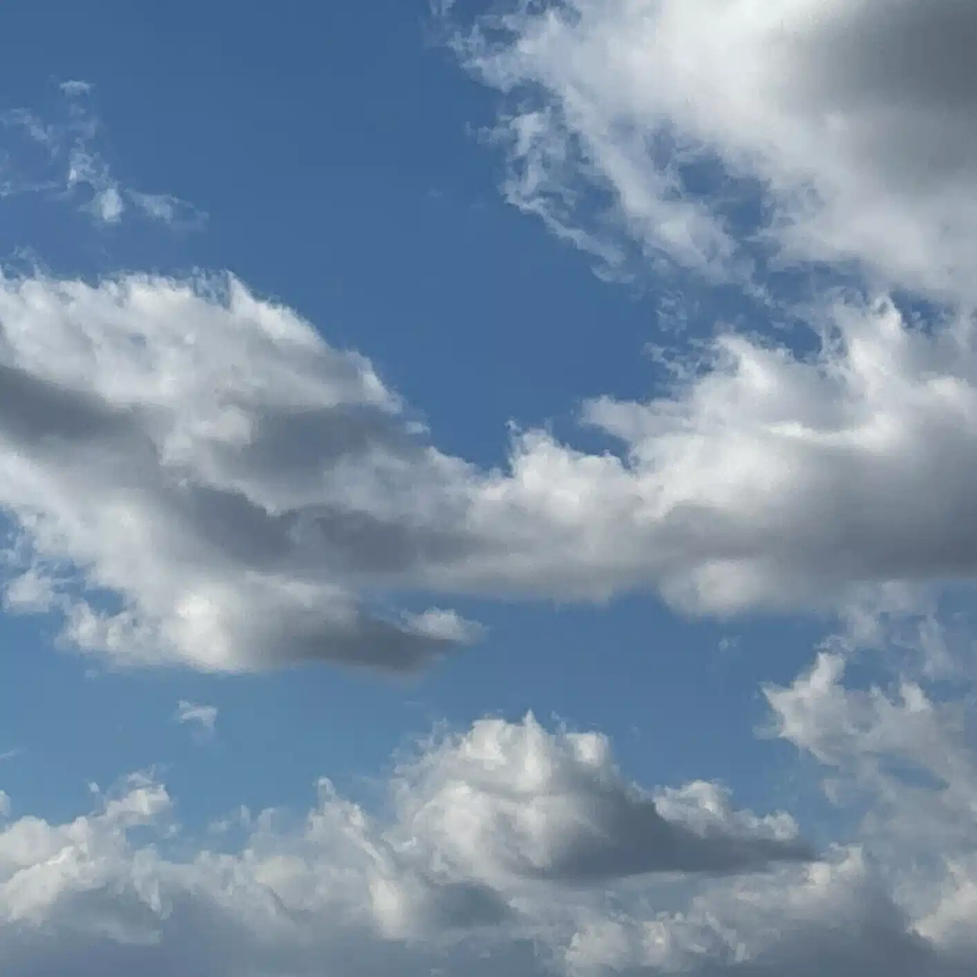 はいかむしか　日常＋空想