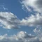 はいかむしか　日常＋空想