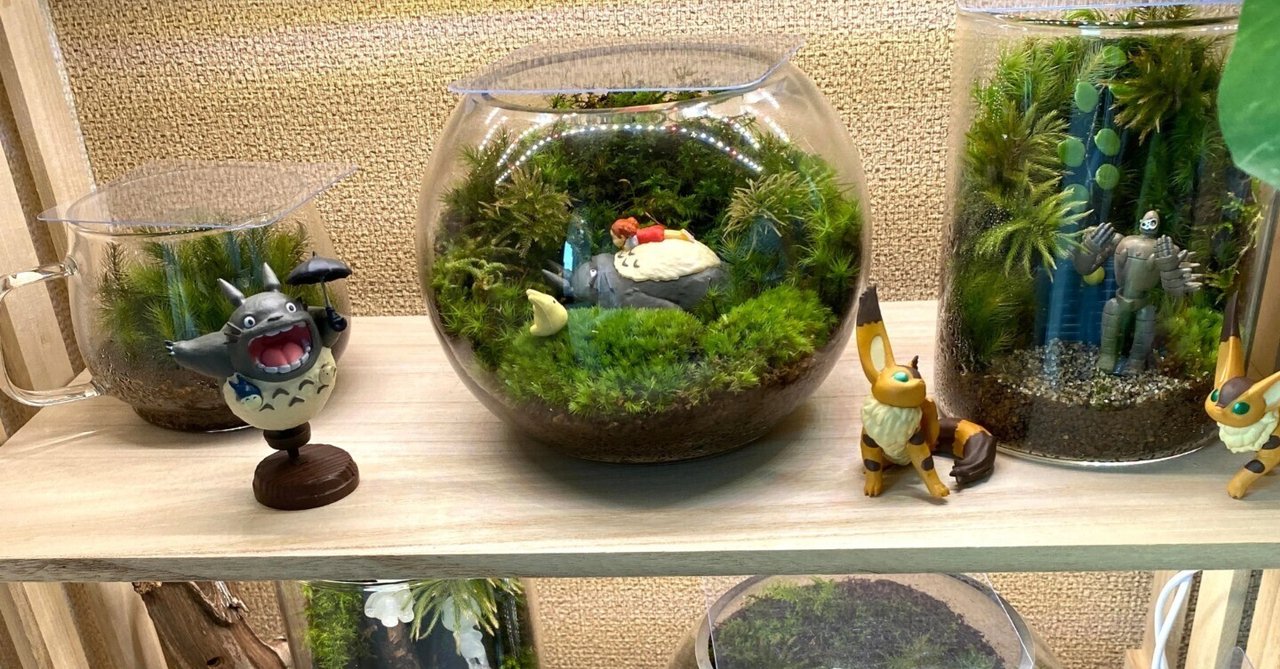苔テラリウム　シングル、ダブル、ロボット兵＆恐竜フィギュア我が家の小さなオアシス ジブリな苔テラリウムを作る🌱｜みどり🌱