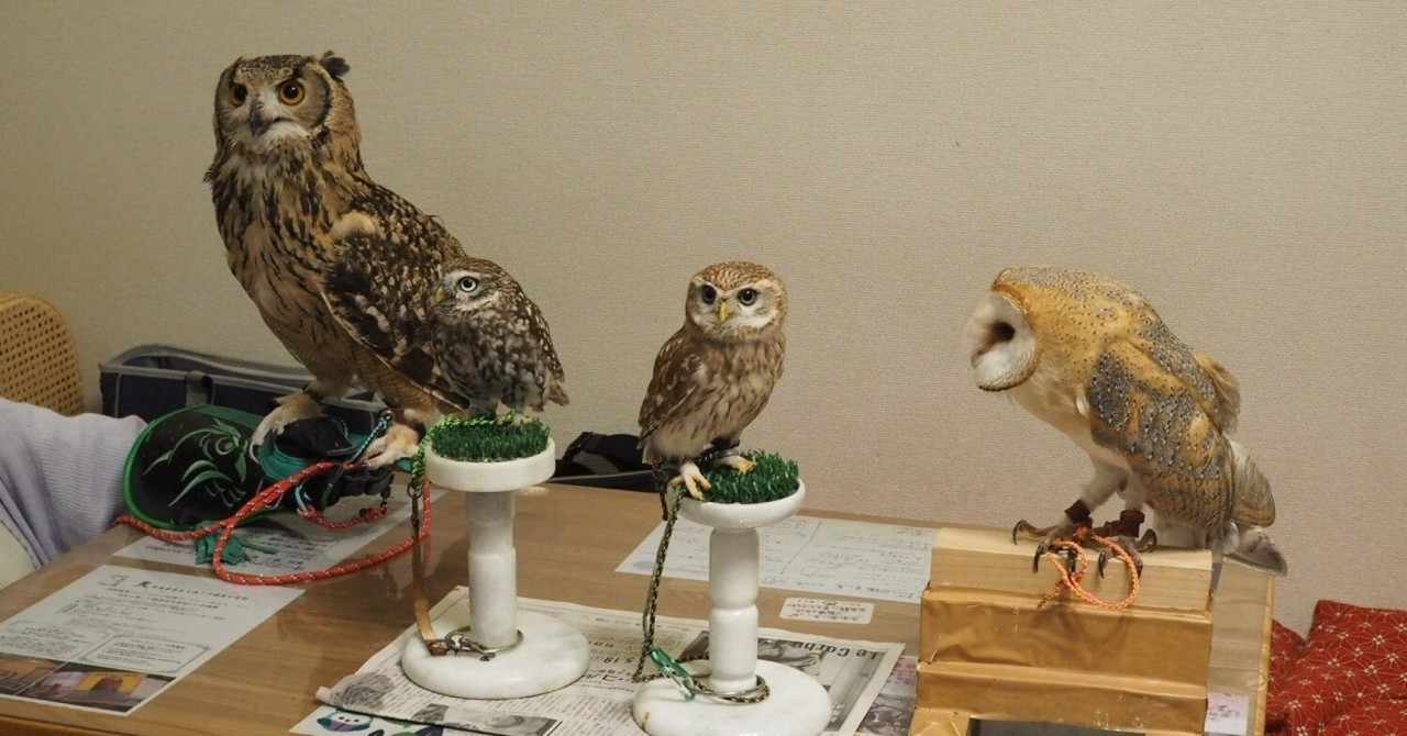 Littleowl の新着タグ記事一覧 Note つくる つながる とどける