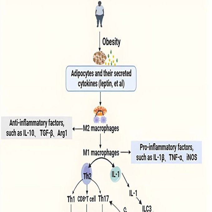 みん 1 ⚠️みなと adidas ZX 8000 Consortium Offspring x mita sneakers