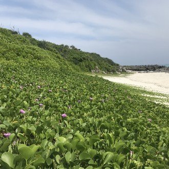 トップに移動