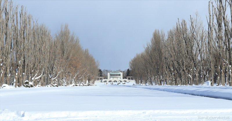 雪のカナールとポプラ並木