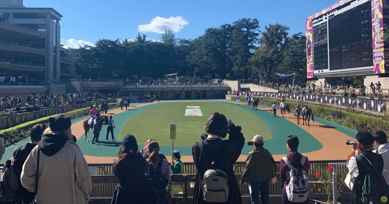 Guide to Horse Racecourse in Japan : Tokyo Racecourse / 東京競馬場