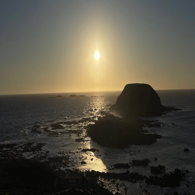 きのこの冒険「メルボルン郊外観光:野生のペンギンパレードとガイコツ