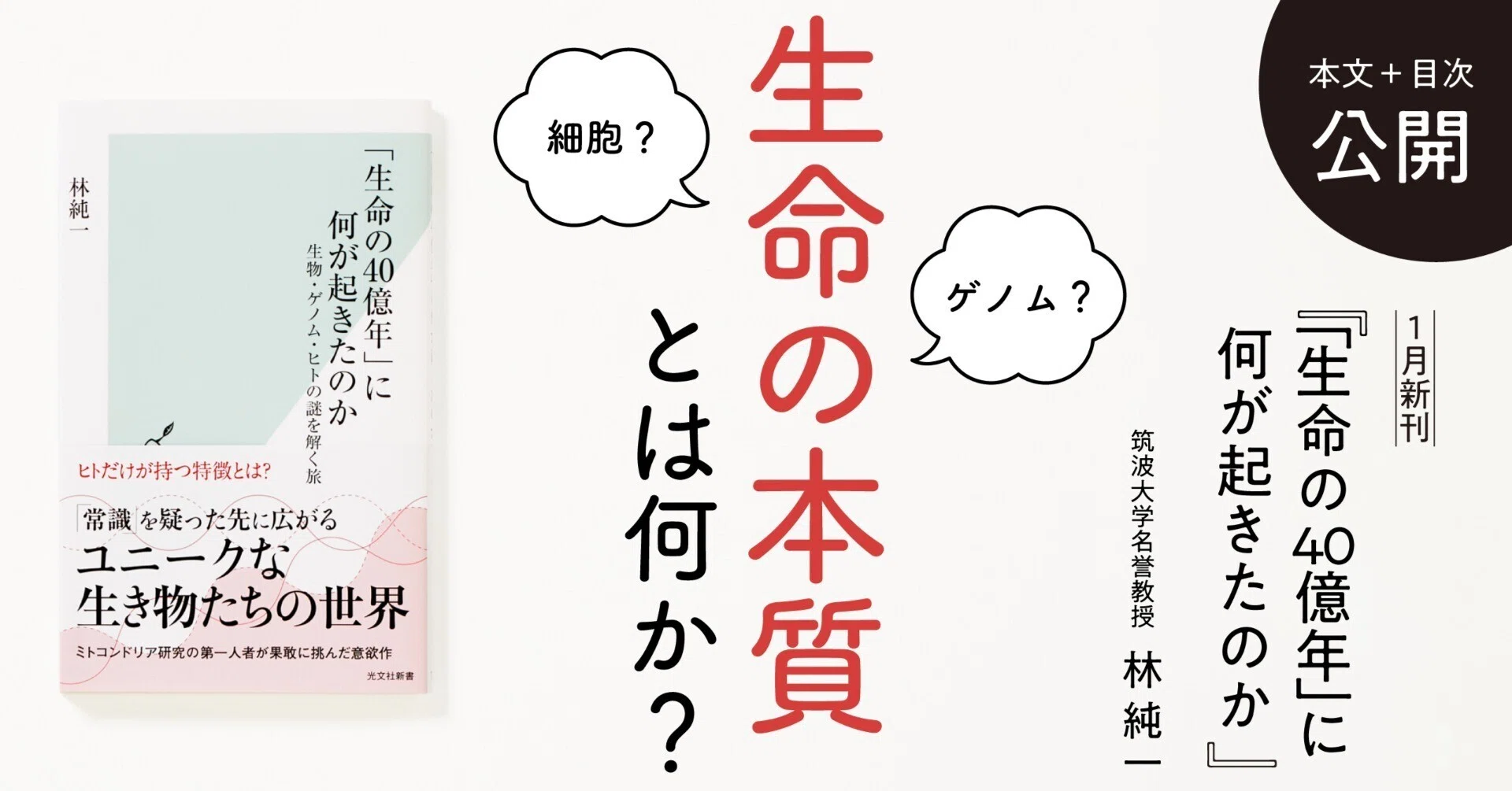 ヒトの脳はなぜ大きい？ 高度な認知能力に関与する候補遺伝子｜林純一