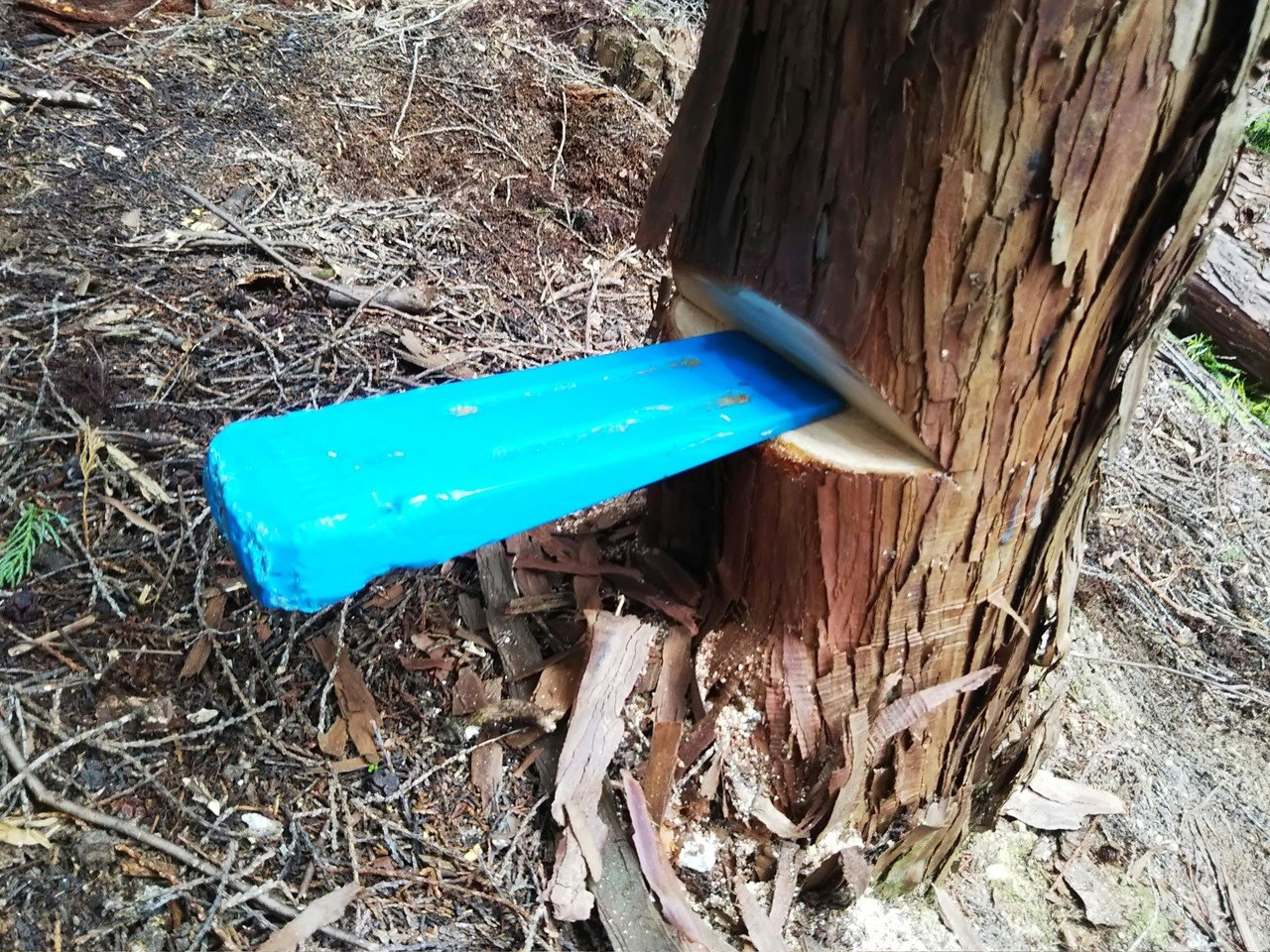 ノコギリで木を切り倒せるのは そのしくみを理解して再現できるから 津和野ヤモリーズ Note ノコギリで木を切り倒せるのは そのしくみを理解して再現できるから 津和野ヤモリーズ Note