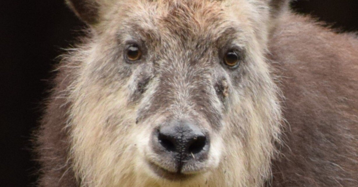 522e128c6c5dd8ec5e5899cc218a65