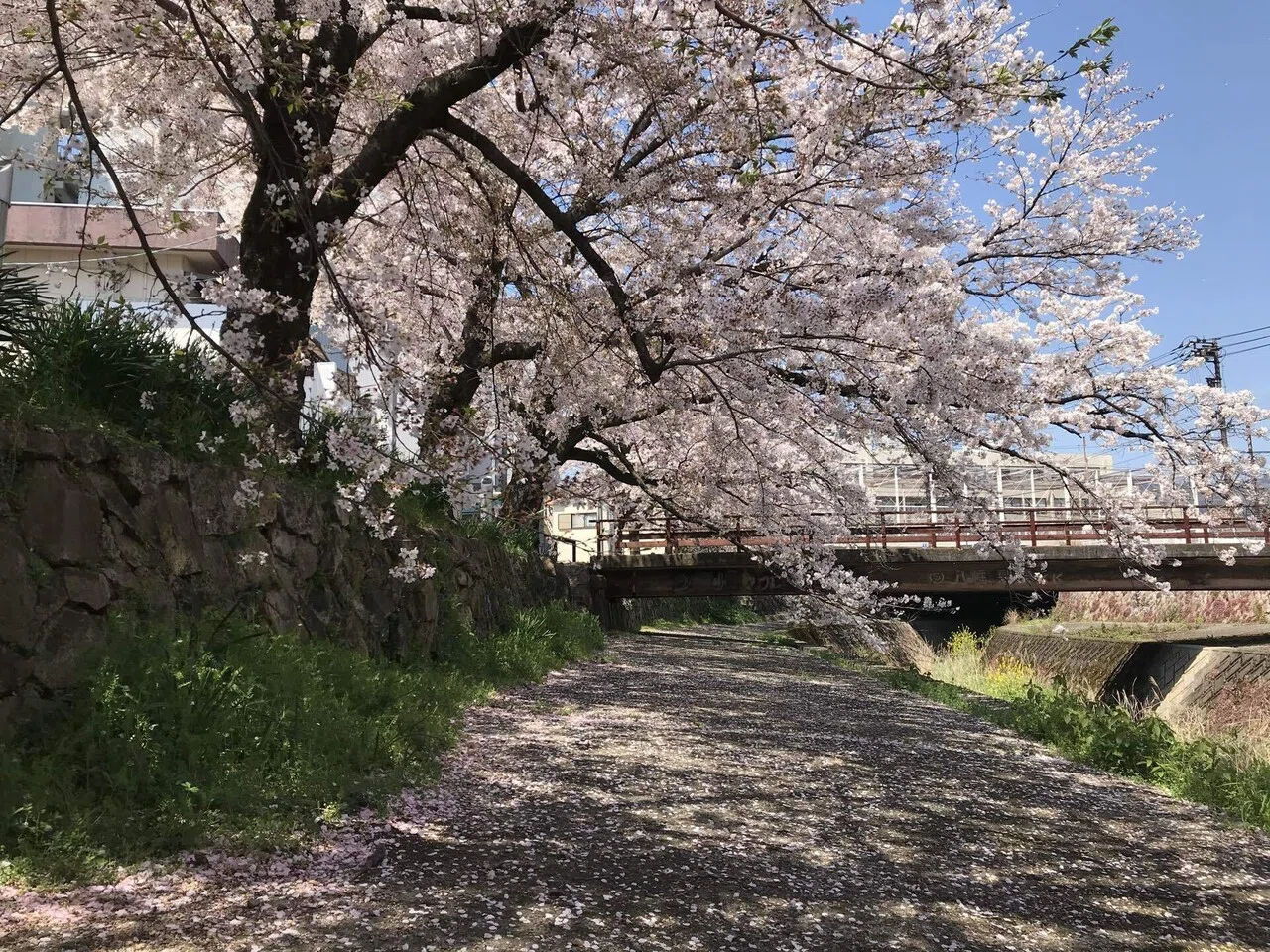 世界で行くべき52箇所」第3位に選ばれた山口市民の本音とおススメ