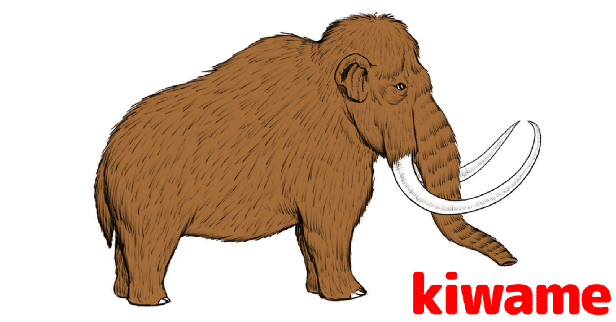 f4f1001e22c79ee0871c14f007349d