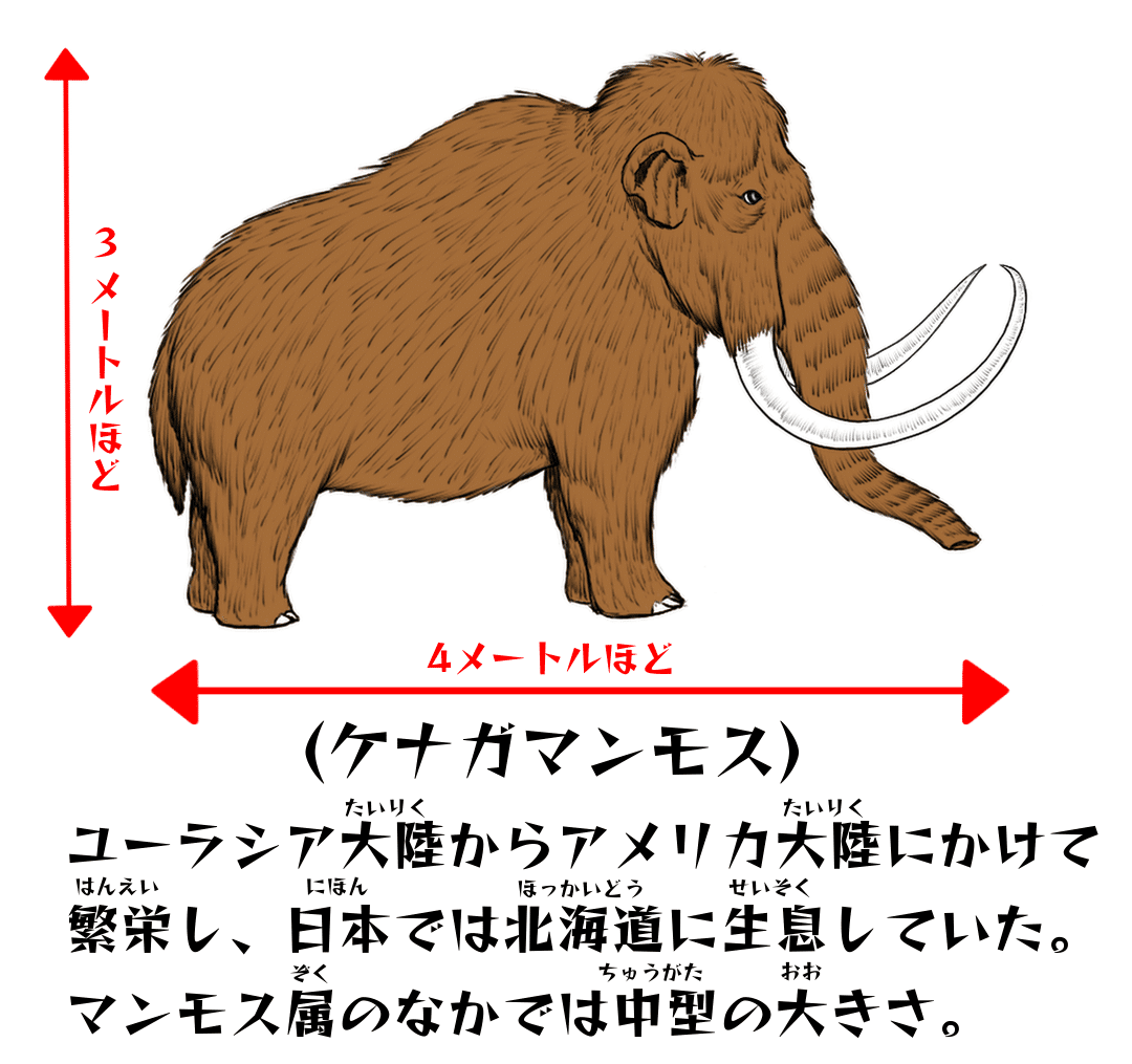 約一万年前のマンモスの体毛 約一万年前のマンモス
