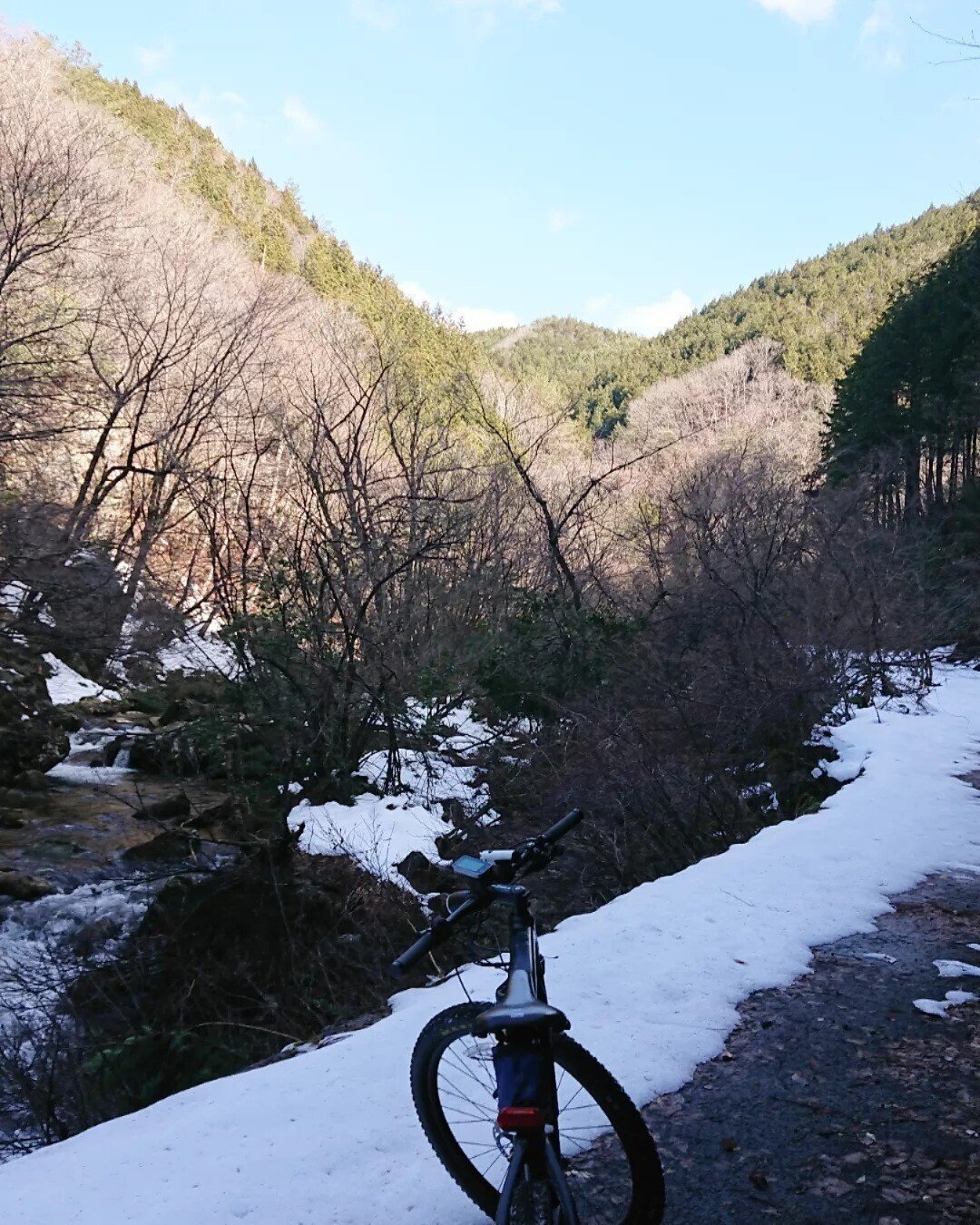 安芸太田町林道調査