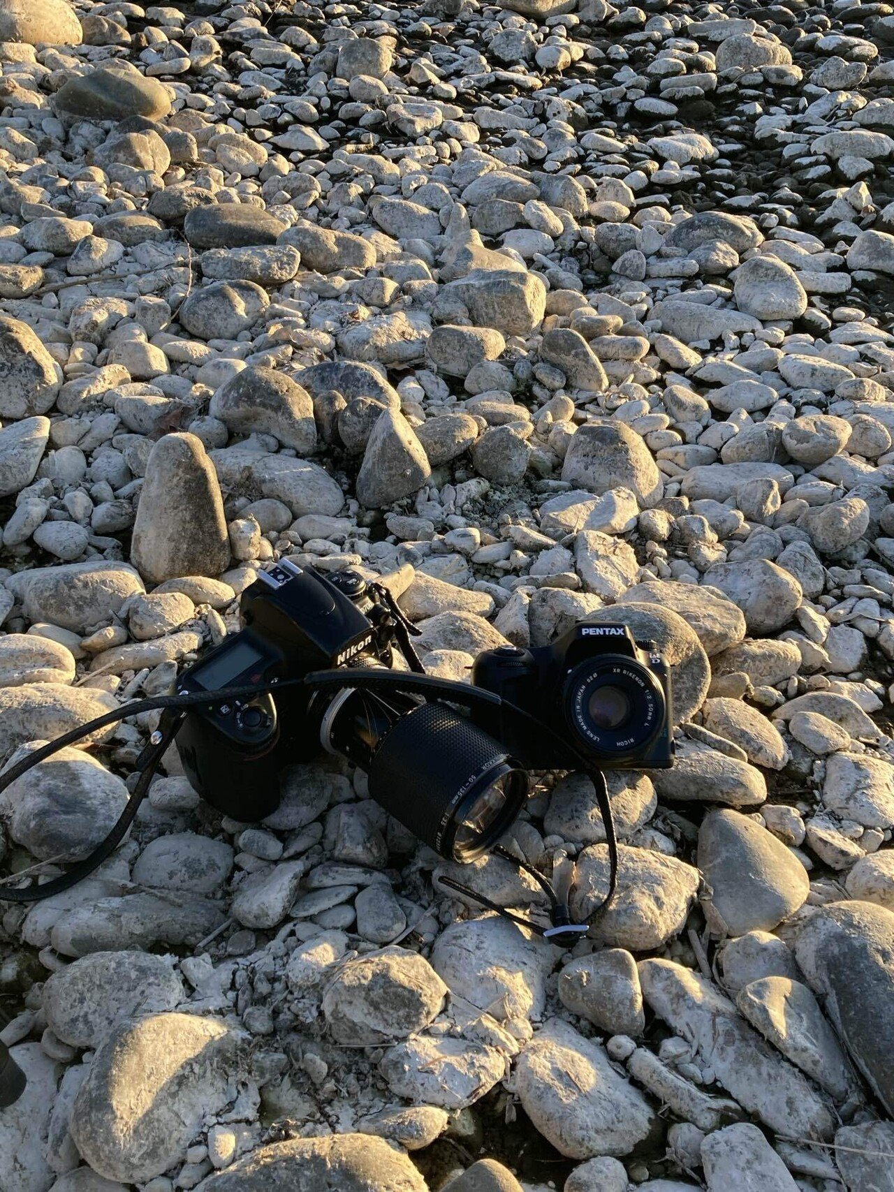 PENTAX *ist D。初代ペンタックスデジタル一眼レフの核心|Sven. PENTAX *ist D。初代ペンタックスデジタル一眼レフの核心|Sven.