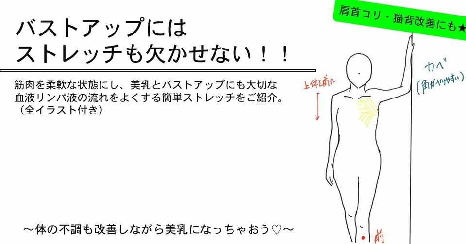 バストアップにはストレッチも欠かせない あやp セルフケア講師 Note