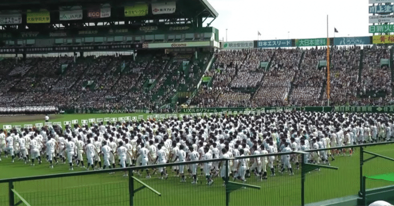 第96回選抜高等学校野球大会