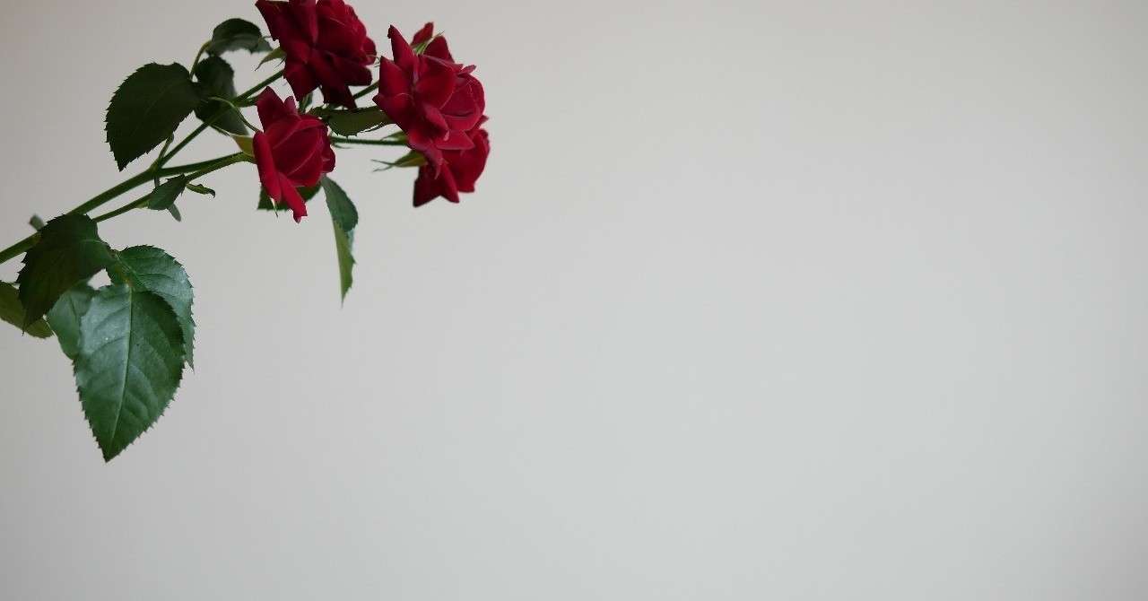 薔薇と弾痕 熱帯 Note