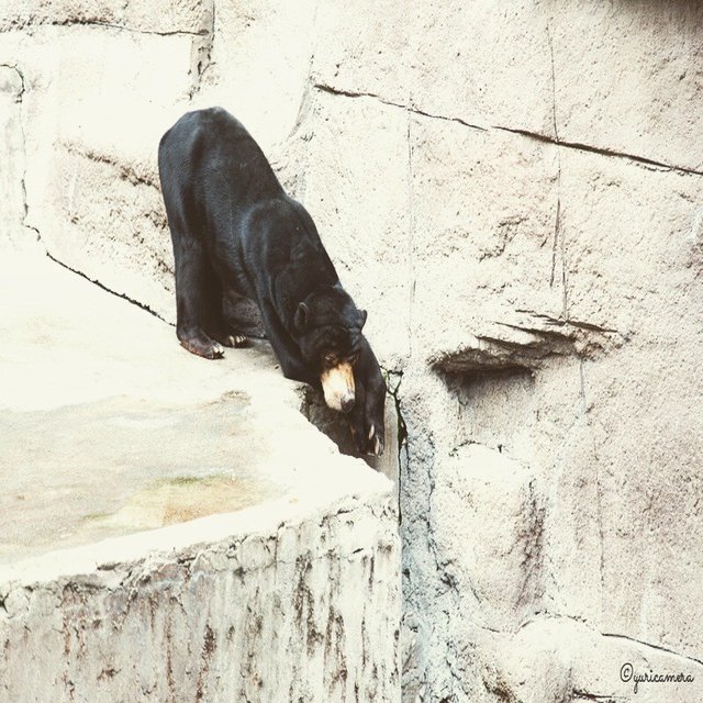 背中にチャック Yuricamera 寺島由里佳 Note