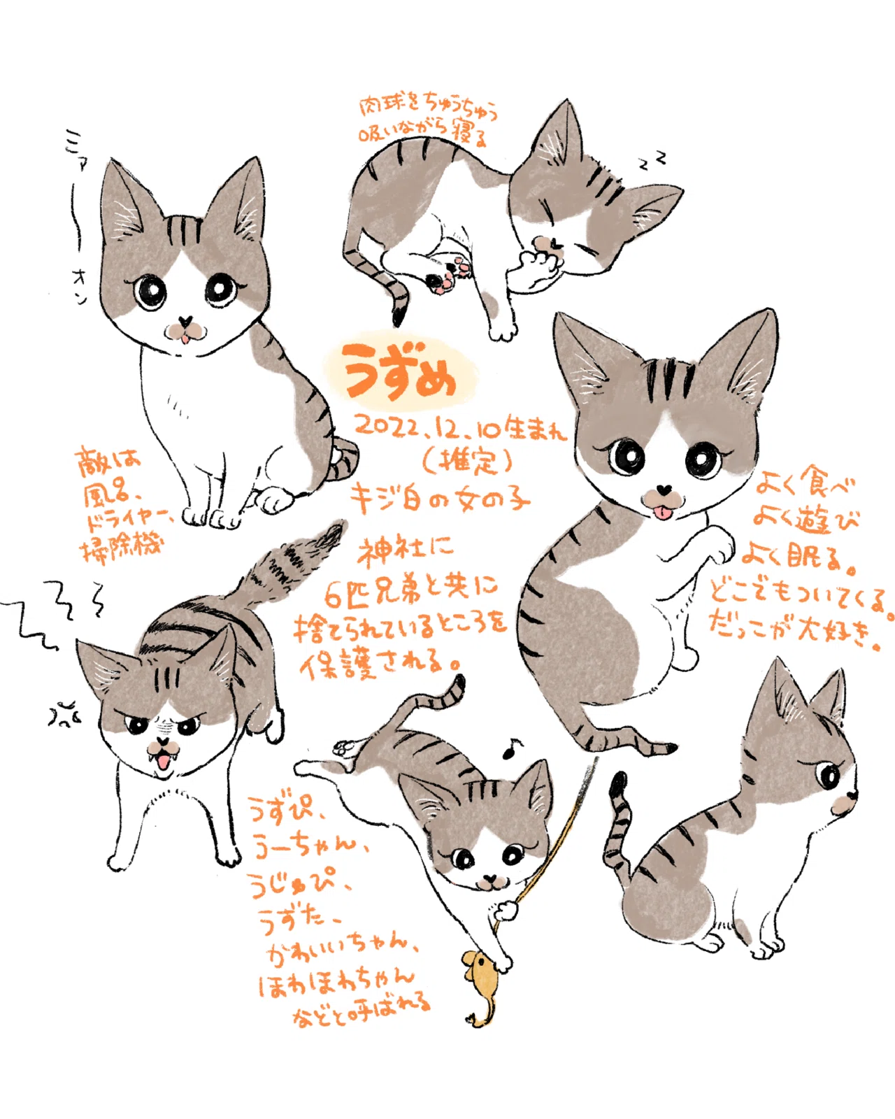 猫を描くってむずかしい｜ミツコ