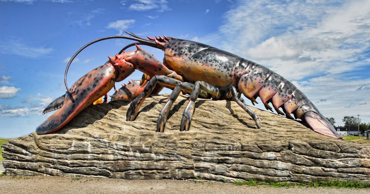 秋の収穫祭】日本水族館立体生物図録 第4巻〈全14種〉フルコンプリート
