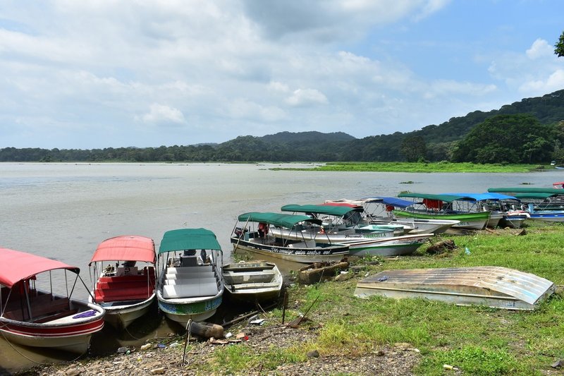 首都周辺で生き物観察 ソベラニア国立公園 Chikacaputh Note