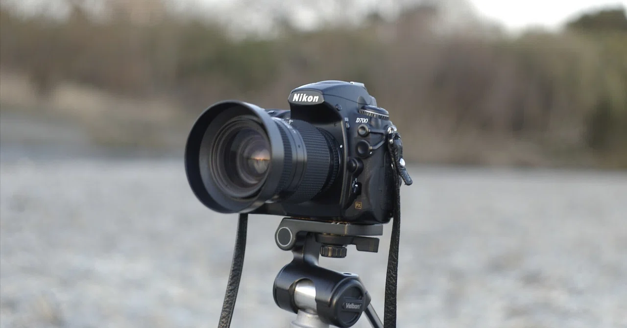 再びAF zoom NIKKOR 35-70mm f2.8D Nで。|Sven. 再びAF zoom NIKKOR 35-70mm f2.8D Nで。|Sven.