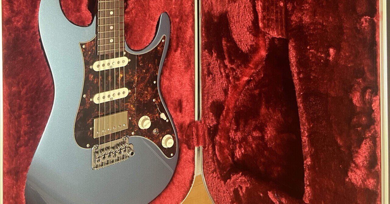 AZ2204N レビュー｜犬一