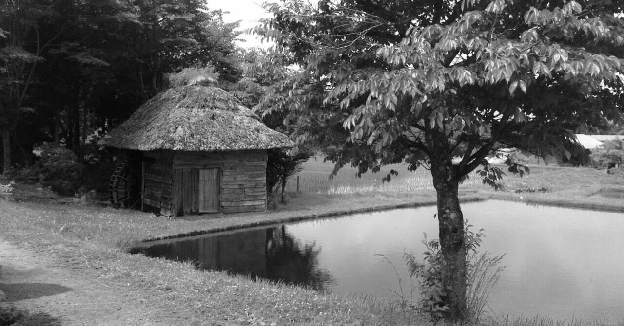 日野啓三短篇選集〈上〉 日野啓三短篇選集(下) 中古本・書籍 | ブックオフ公式オンラインストア