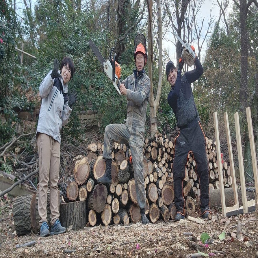 コナラの伐採｜川崎市黒川青少年野外活動センター