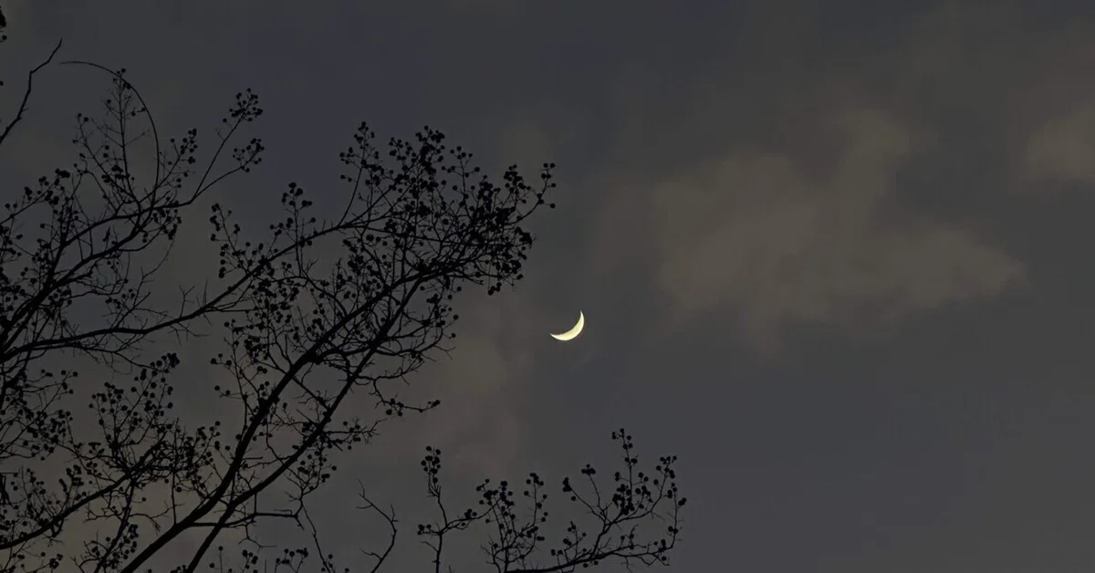 泪が三日月を滑り落ちた夜に｜猿荻レオン