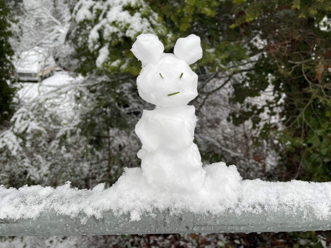 【カナダ銀貨】2019年カナダ 純銀ミスティカル・スノー・デイ・ 雪だるま カナダ銀貨】2019年カナダ 純銀ミスティカル・スノー・デイ